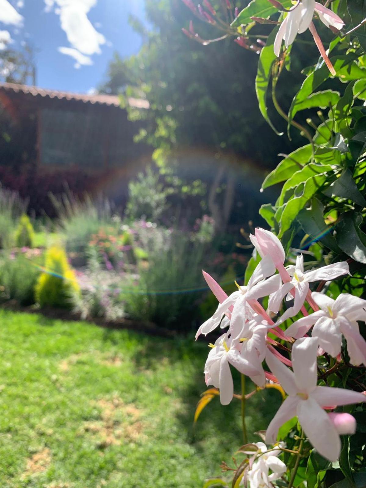 Petite Marie Casona Boutique Bed & Breakfast Yucay Dış mekan fotoğraf